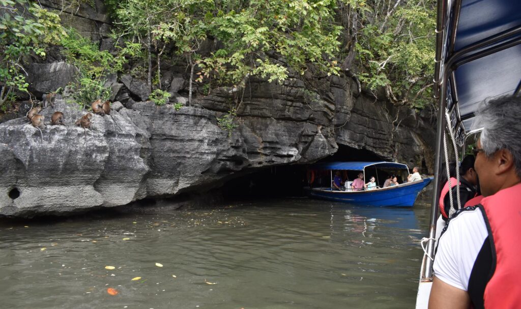 dragon cave mangrove tour langkawi